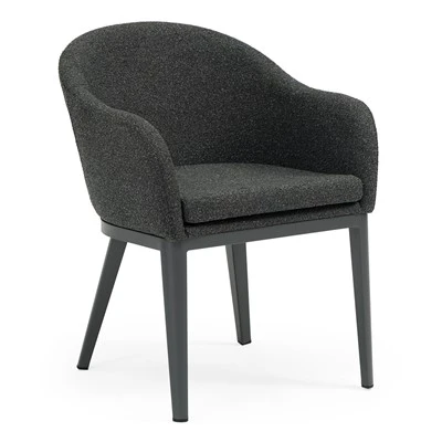 Dining Outdoor Upholstered Chairs